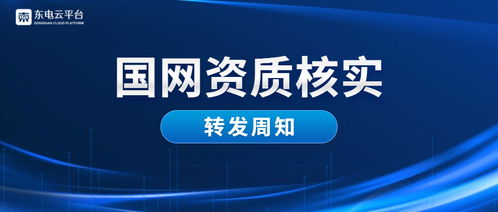 國網資質核實 關于2019年財務信息審核的通知